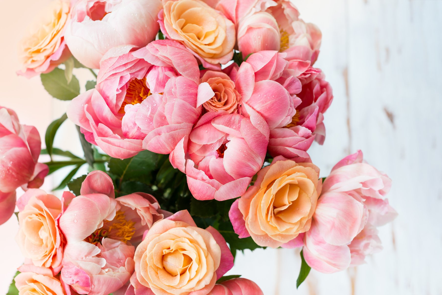 Fresh bunch of pink peonies and roses